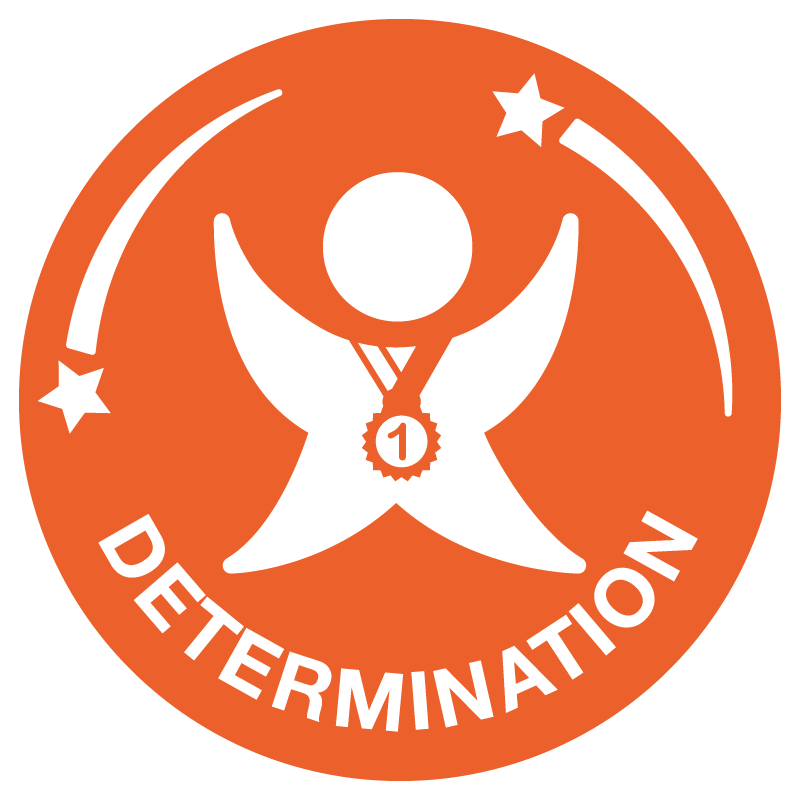 School Games – SOTG DETERMINATION icon NEW